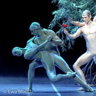 StaatsballettMuc_Sommernachtstraum_3427.jpg